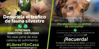 Bogotá y Cundinamarca unidos por el cuidado de los animales en Navidad