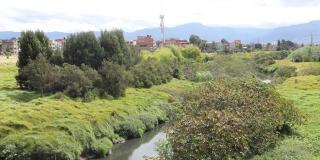 ¿Por qué se celebra el Día Mundial de los Humedales en Bogotá? 👇