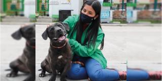 Mujer con un perro
