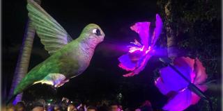 Horarios del show de luces Polinizando en el Jardín Botánico de Bogotá