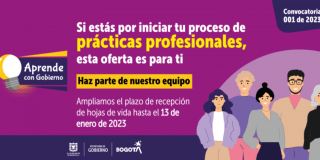 Pasantías