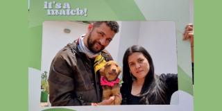 Adopciones de perros en Bogotá: ¿Qué requisitos necesitas? 🐶 guau..