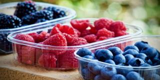 Oferta de empleo para nutricionista - Foto: pixabay.com