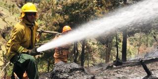 Recomendaciones de Bomberos para evitar incendios forestales 