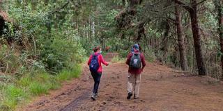 Dónde inscribirse para hacer caminatas en senderos ecológicos Bogotá 