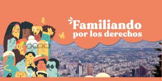 Portafolio de servicios gratuitos del Distrito para familias en Bogotá