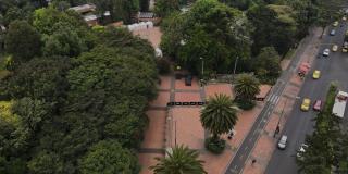 For the Third Year, Bogotá is Recognized as 'Tree City of the World