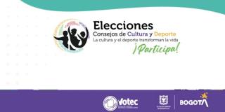 Sesión virtual para postularse en los Consejos de Cultura y Deporte