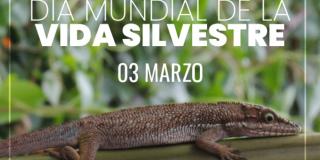 Acueducto se une a la celebración del Día Mundial de la Vida Silvestre