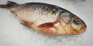 Recomendaciones de salud para consumir pescado en Semana Santa 2023