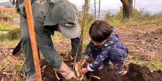 Con plantatón de árboles Bogotá celebró el Día Mundial de la Tierra