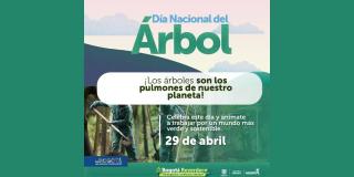 Día Nacional del árbol:especies más representativas de Bogotá 29 abril