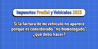 Pasos para pago de factura impuesto de vehículos no homologados 2023