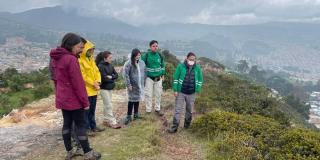 Distrito recupera 30 kilos de laurel de cera en Cerros Orientales 2023