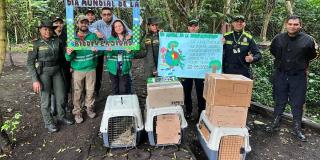 Distrito libera 10 animales silvestres en el humedal La Conejera 2023 