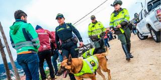 Cayeron 'Los Niches' por varios delitos en operativo de Comando Ambiental