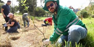 Más de 100 árboles se plantaron en el Humedal de Techo en Kennedy
