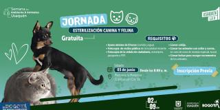 Esteriliza a tu mascota gratis en Usaquén: Inscríbete para junio 3
