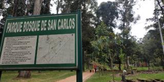 Jardín Botánico avanza con plantación de árboles en Bosque San Carlos