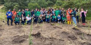 Sec. Ambiente plantó 103 árboles en parque Entrenubes en Bogotá 2023