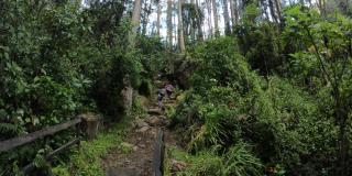 Agéndate y visita los caminos de los cerros orientales en Bogotá 