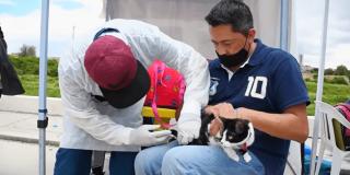 Puntos de vacunación gratuita contra la rabia en Bogotá junio 2023