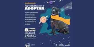 Jornada de adopción de animales este 8 de julio en Planetario Bogotá