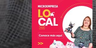 Impulso local