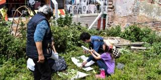 Jardinería