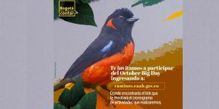 14 de octubre: Celebra el #OctoberBigDay en los senderos de Bogotá 