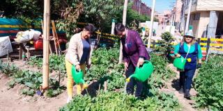 Jardines