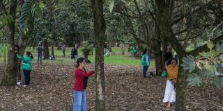  Bogotá, lista para ofrecer “Baños de Bosque” como opción terapéutica