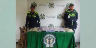Incautados 12.540 gramos de estupefaciente en bodegas de Aeropuerto El Dorado 
