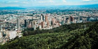 Acuerdos de conservación y más estrategias con las que Bogotá reverdeció