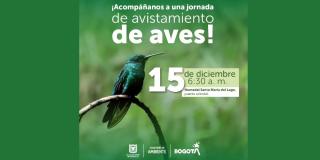 Avistamiento de aves en Humedal Santa María del Lago 15 de diciembre 