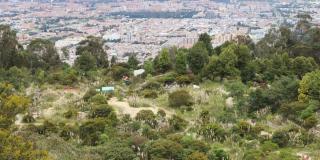 Cierre preventivo: humedales y parques de alta montaña en Bogotá 