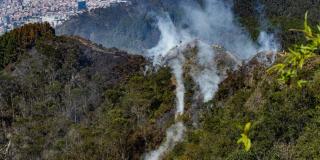 ¿Cómo los incendios forestales amenazan la biodiversidad en Bogotá? 