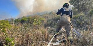 Bomberos atiende 4 nuevos incendios forestales en Bogotá ¡Reporta al 123!