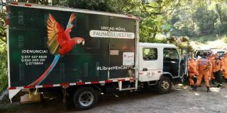 Móvil de Ambiente atiende animales silvestres heridos por incendios