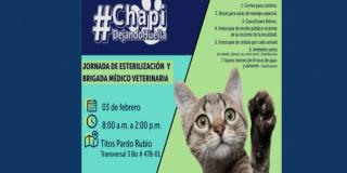 Invitación alcaldía de Chapinero a jornada de esterilización