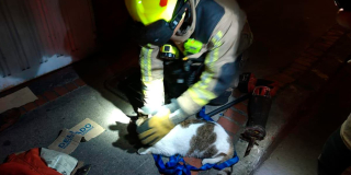 Bomberos rescataron a un gatito atrapado en una caja de aguas en Engativá