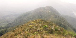Distrito cierra Caminos de los Cerros para evitar incendios forestales