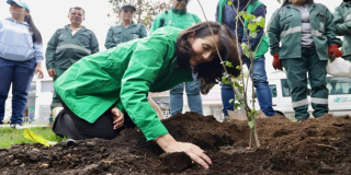 Celebración del Día Nacional del Árbol en Bogotá con plantaciones