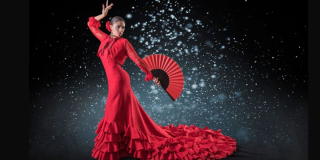 Flamenco banco de imágenes