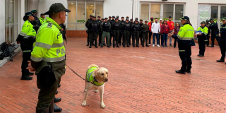 200 dosis por estupefacientes y dos capturas en megatoma en Santa Fe 