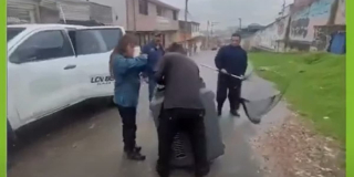 Distrito rescató 5 caninas ferales en condición de abandono al sur de Bogotá́