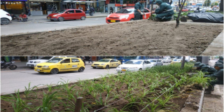 #ElCentroVive fortaleció las jardineras de la avenida 19 en Bogotá