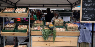 Hacer mercado en Bogotá en los Mercados Campesinos 25 y 26 de mayo