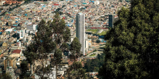Atención de emergencias Bogotá por árboles en riesgo época de lluvias 