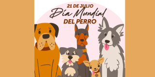 Día Mundial del Perro en Bogotá: Jornada de adopción 21 de julio 2024